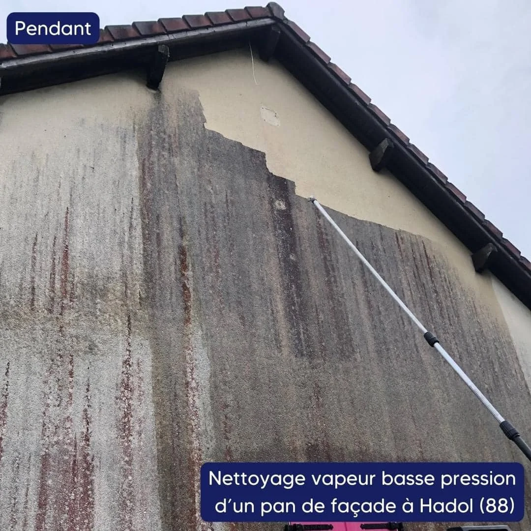 Nettoyage d'une façade - Hadol (88)