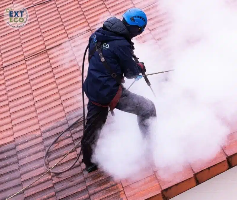 nettoyage vapeur basse pression d'une toiture en cours par EXTECO