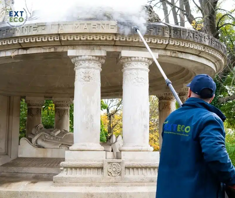 technicien qui nettoie un monument à la vapeur basse pression