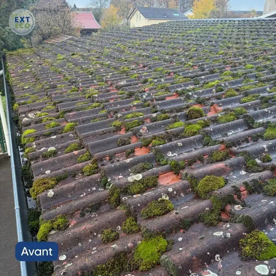 Photo tuiles avant nettoyage vapeur basse pression par EXTECO