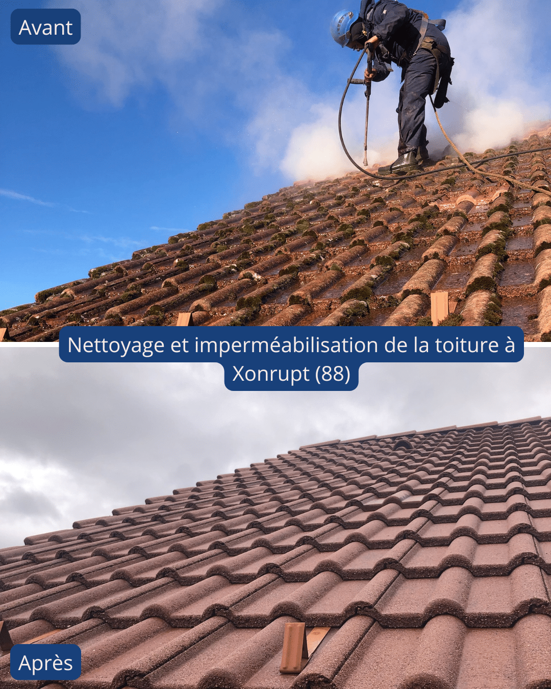 Eco:fy Kit Entretien Chaussures – Nettoyant + Imperméabilisant Sneakers, Brosse & Chiffon Microfibre, Tous Matériaux, Fabriqué Allemagne