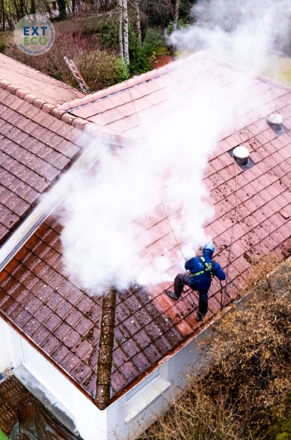 Technicien procédant au démoussage de la toiture sans produits chimiques