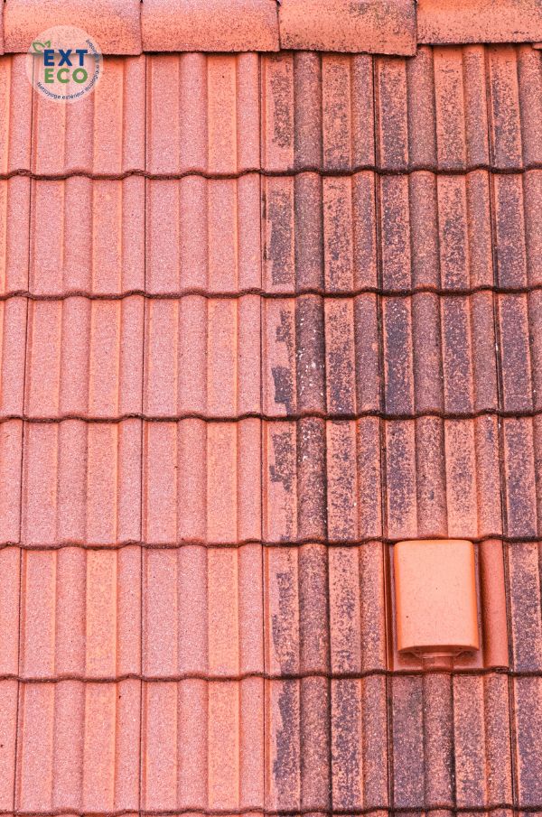 avant/après des tuiles suite au nettoyage de toiture écologique Exteco