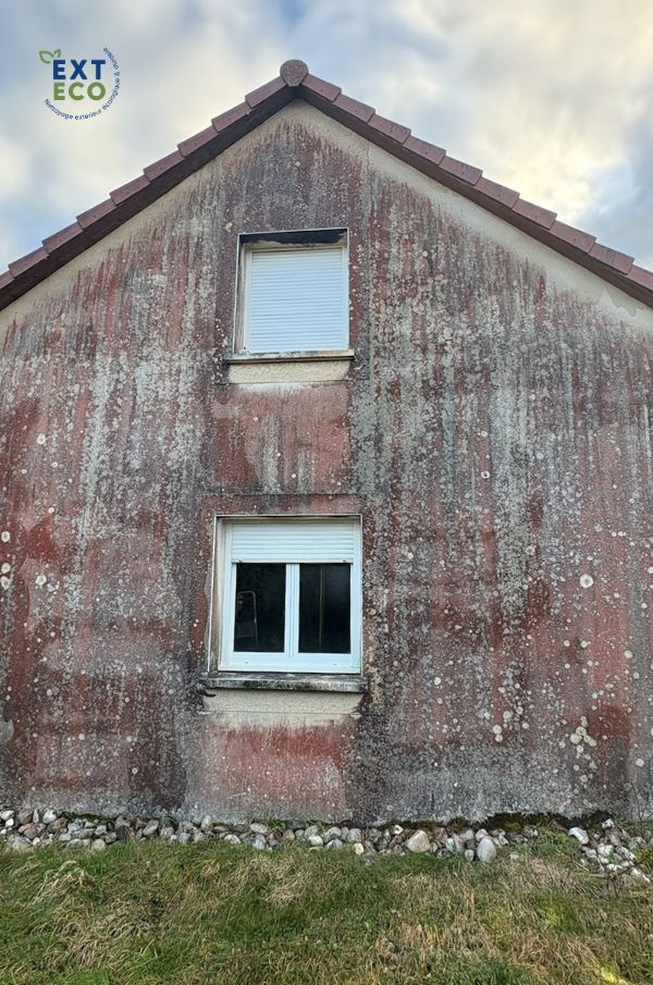 Photo avant nettoyage de la façade de la maison recouverte d'algues rouges