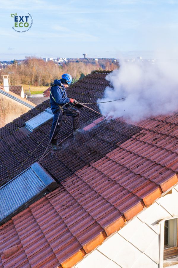 Nettoyage vapeur basse pression d'une toiture à Golbey (88)
