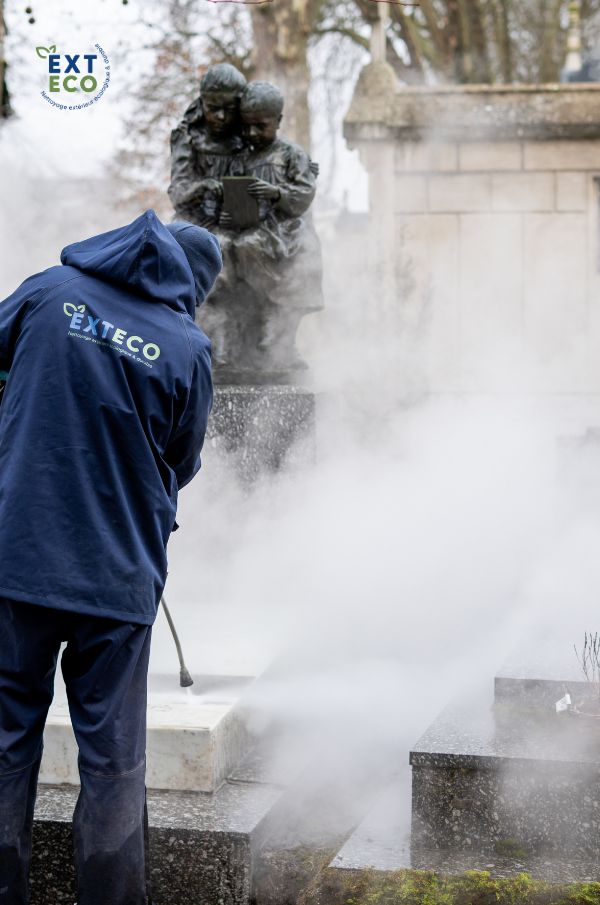 Nettoyage vapeur basse pression d'une sépulture historique à Nancy (54)