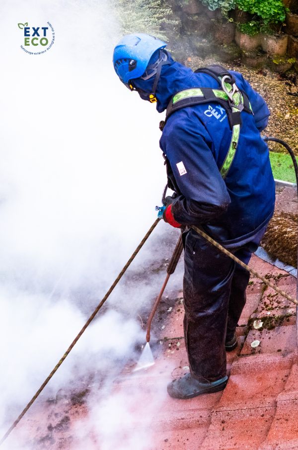 Exteco réalise le nettoyage vapeur basse pression sur le toit