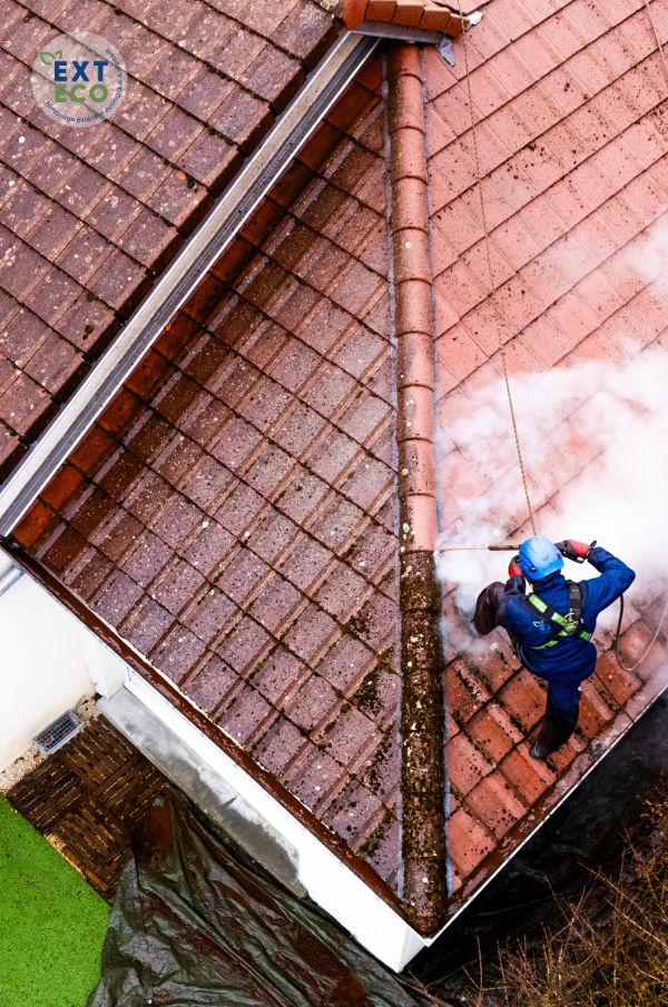 Nettoyage vapeur basse pression et imperméabilisation d'une toiture à Épinal (88)