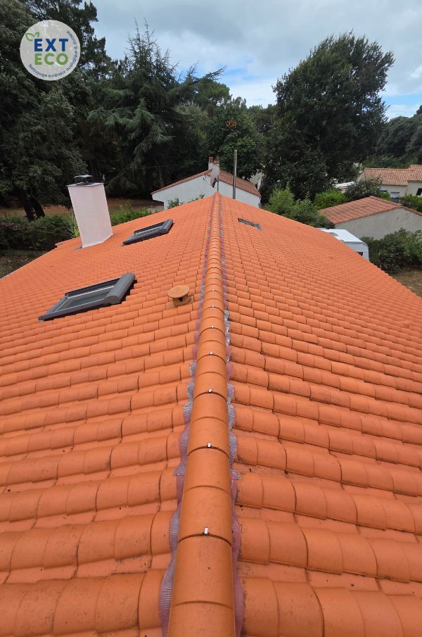 Toiture propre et assainie après nettoyage vapeur basse pression Exteco