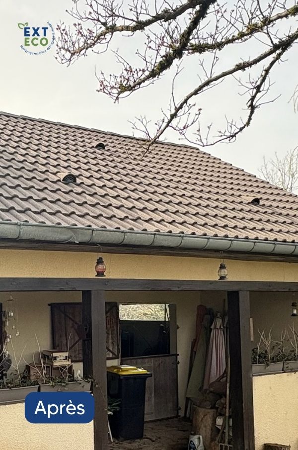 Photo des tuiles après nettoyage de toiture par EXTECO