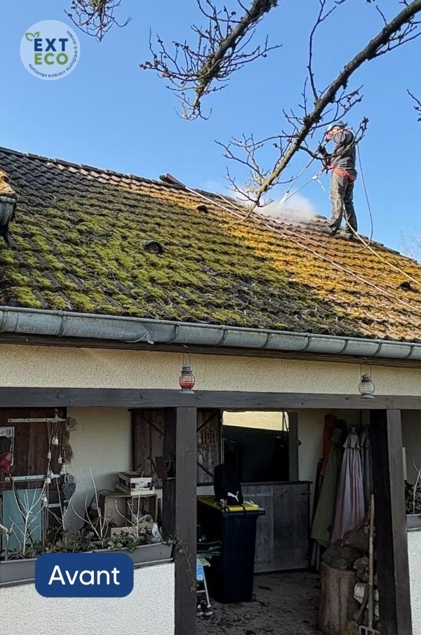 Nettoyage et démoussage de toiture à Combrimont (88)