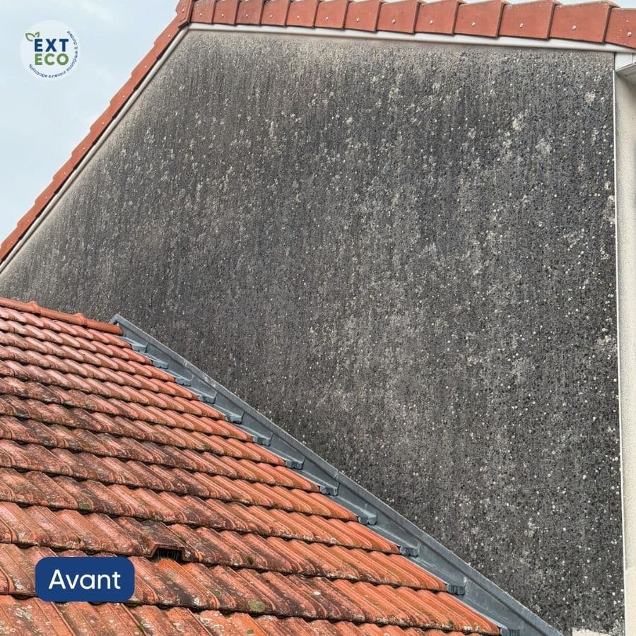 Nettoyage vapeur basse pression et imperméabilisation de la façade à Damelevières (54)
