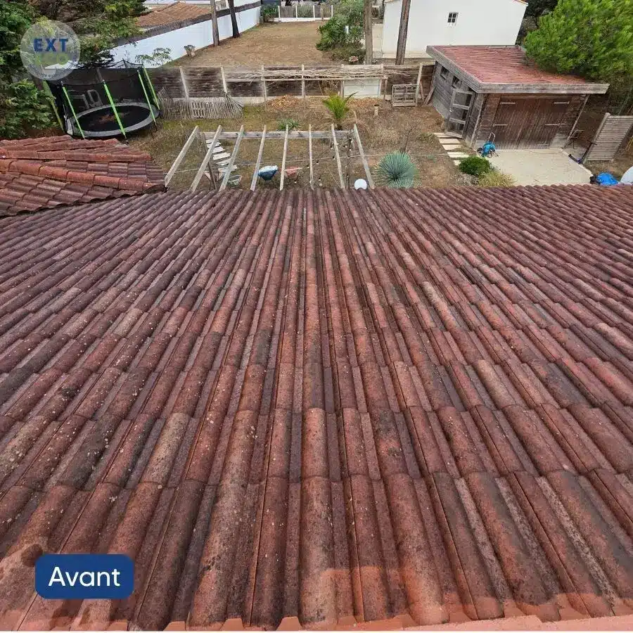 Tuiles canales avant nettoyage toiture à la vapeur basse pression en Vendée